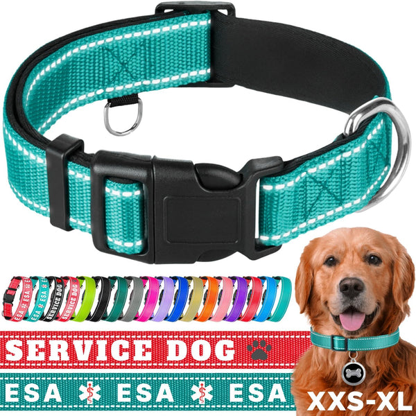 TECEUM Reflective Pet Collar – Basic Nylon Dog Collar – Quick Release Buckle – Aquamarine – M – Fits Small, Medium and