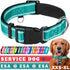 TECEUM Reflective Pet Collar – Basic Nylon Dog Collar – Quick Release Buckle – Aquamarine – M – Fits Small, Medium and