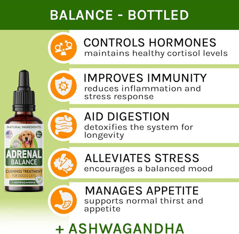 ?dr?n?l Balance for Dogs and Cats - Cushings Treatment for Pets, ?dr?n?l Support w/Ashwagandha, Licorice Root, Rhodiola Rosea – Best Cushings Treatment for Dogs - 2oz Harmony Herbal Drops