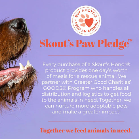 Skout's Honor Probiotic Pet Shampoo & Conditioner 16oz with Avocado Oil & Omega-3s, 97% Natural, Cruelty-Free
