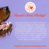 Skout's Honor Probiotic Pet Shampoo & Conditioner 16oz with Avocado Oil & Omega-3s, 97% Natural, Cruelty-Free