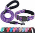 Reflective Padded Dog Collar with Soft Neoprene, Adjustable Nylon Collar for Small Medium Large Dogs (Pack of 1,