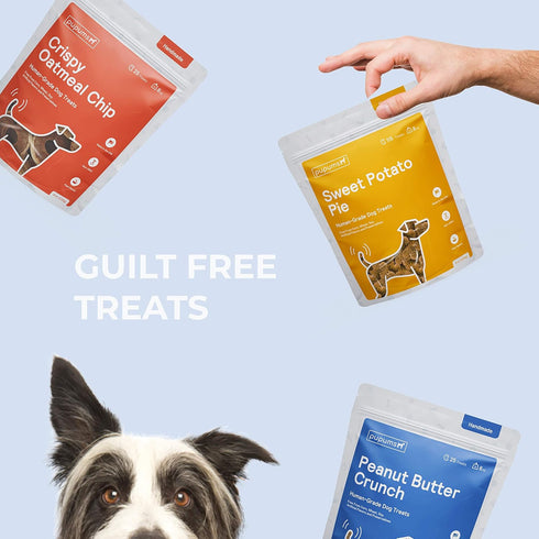 Sweet Potato Dog Treats - Organic, Grain Free, Non-GMO Biscuits Made in USA (8 oz)