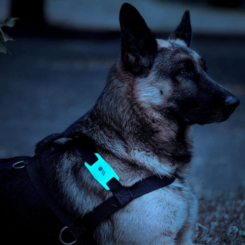 Case-Mate Airtag Dog Collar Holder | Water Resistant Airtag Holder | Protective Case for Dog Collar - Glow in The Dark