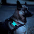 Case-Mate Airtag Dog Collar Holder | Water Resistant Airtag Holder | Protective Case for Dog Collar - Glow in The Dark
