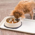 IRIS USA 2 Cups Slow Feeder Dog Bowl, Anti-Choking Interactive Puzzle Toy for Healthy Digestion, Beige/Black
