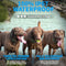 Dog Training Collar with Remote - Waterproof Shock Collar for Large Medium Dogs, Upgraded 3300Ft E Collar with 3