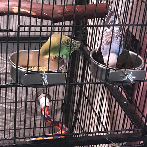 kathson 4 Pcs Stainless Steel Bowls for Birds, Parrot Feeder Dish Cups with Clamp Holder for Cockatiel Budgies Lovebird