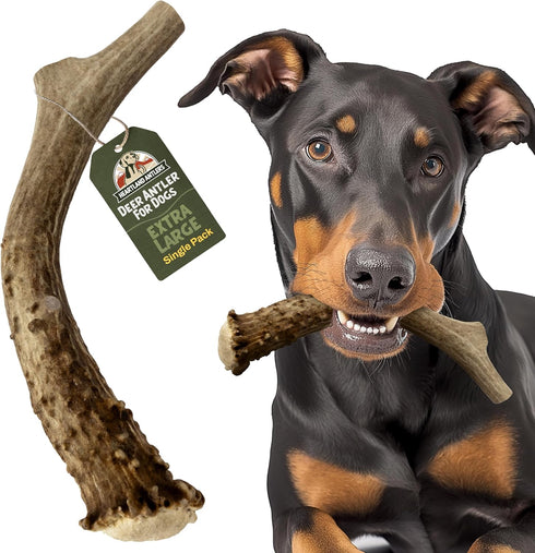 Heartland Deer Antlers for Dogs - Daily Dental Care Chews, X-Large 8-10", 1-Pack, Grade A, USA Made