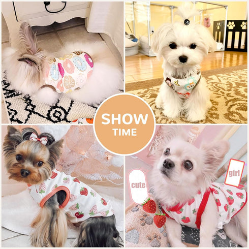PETCARE 3 Pack Premium Small Dog Shirts, 95% Cotton, Soft Cute Outfits for Small Dogs, Cats, and Puppies