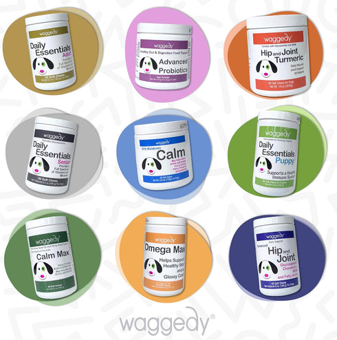 Calm with Melatonin - Calming Chews for Dogs to Manage Stress & Anxiety Relief (60 Chews)