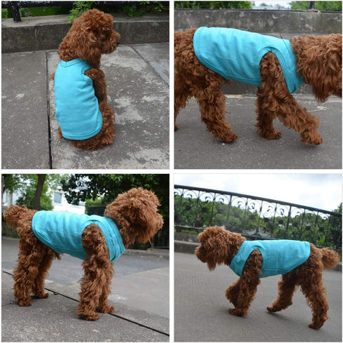 2018 Pet Clothes Dog Summer Vest - Classic Blank T-shirt Tanks for Small, Medium & Large Dogs, 100% Cotton (S,