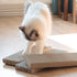Navaris Cat Scratching Board Set - Narrow Scratch Boards for Scratching/Stretching Made of Cardboard for Small and Large Cats - 41x13x3cm (Set of 3)