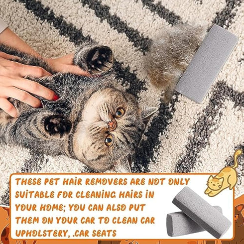 Abbylike 6 Pcs Pet Hair Remover, Gray Pumice Stone Tool for Dog Hair, Cat Fur Removal from Bedding, Couch