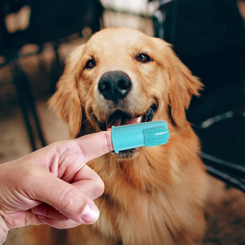 Professional Dog Finger Toothbrush by H&H Pets, Pack of 4