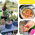 Yellow Pebbles for Crafts, 0.9 Pound Natural Polished Aquarium Gravel, Decorative for Indoor Plants