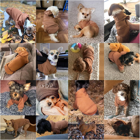 Jecikelon Winter Dog Hoodie Sweatshirt with Pockets, Warm Clothes for Small Dogs Chihuahua, Coffee, X-Small