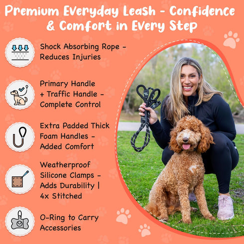 6 Foot Dog Leash, 2 Extra Padded Handles, Lockable Metal Carabiner Clip, Durable Silicone Clamps, Reflective No Pull Heavy Duty Rope Lead, Walking, Training, Running, Medium to Large Breeds