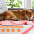 8 Pcs Dog Drying Towels Bulk 55'' x 28'' - Absorbent Microfiber Bath Towels for Small Medium Large Dogs
