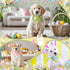Shyyween 100 25.6 17.7 17.7 Inch Pcs Easter Dog Bandanas Bulk for Dogs with Bunny Rabbit Egg Carrot Pattern Soft Bibs