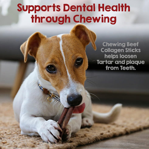 12 Inch 5 Riley's Beef Collagen Sticks for Dogs, Collagen Chews for Dogs, Bully Stick & Rawhide Alternative, Long