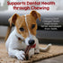 12 Inch 5 Riley's Beef Collagen Sticks for Dogs, Collagen Chews for Dogs, Bully Stick & Rawhide Alternative, Long