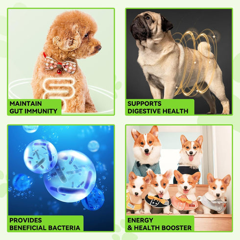 3-in-1 Dog Probiotics for Digestive Support, Liquid Probiotic Supplements for Dogs, Pet Probiotics | 2 Oz