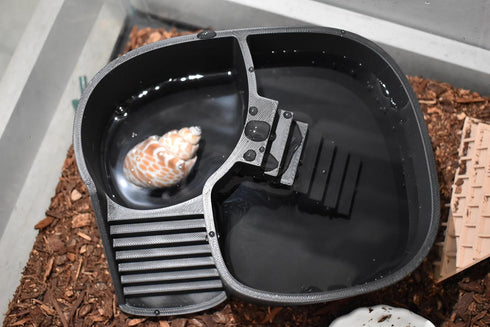 Swimming 2-in-1 Dual Zone Hermit Crab Pool, Soaking Tub for Fresh & Salted Water. Hermit Crab Food Bowl & Bath Tub