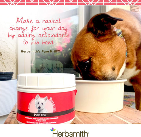 Herbsmith Pure Krill: Wild-Caught Antarctic Krill, Just 1 Ingredient, Omega 3s for Dogs, 75g