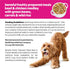 (Pack 8) 10 oz. Purina Beneful Dog Food Freshly Prepared Meals Beef and Chicken Medley with Green Beans, Carrots