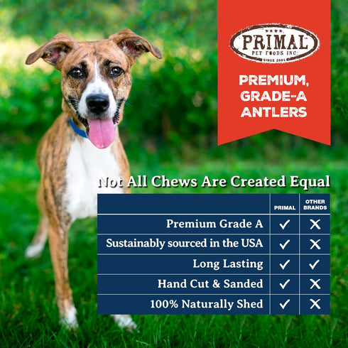 Primal Antlers for Dogs - Grade A Split Elk Antlers for Large Dogs 30-45 lb - Long Lasting Chews