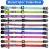 Pawtitas Reflective Cat Collar with Safety Buckle, Removable Bell, Pink, One Size