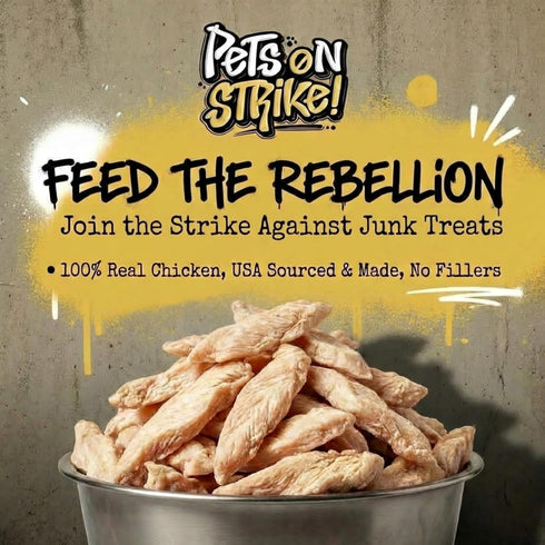 (16oz) Freeze Dried Chicken Breast for Dogs & Cats Single Ingredient Dog Treats USA Sourced & Made High Protein, All