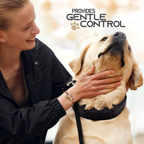 Ram-Pro Small Dog Training Collar - Triple Crown Pro Pinch Collar for Gentle Effective Control, No Barking