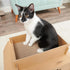 Carlson Cat Camper with Scratching Pad, Includes One Cat Door, Three Paw Windows, and One Cat Scratching Pad