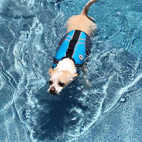 VIVAGLORY Sports Style Dog Life Vest, Life Jacket for Swimming & Boating, XS, Blue