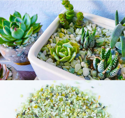 3lb Pebbles,1/4 Inch Jade Bean Cactus Bonsai DIY Rocks, Natural Succulent Rock and River Rocks Decorative