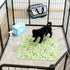 Nouysoc 15.75 23.62 Inches Puppy of Pads with Pheromones, Washable Pee Pads for Dogs, Potty Training Pads for Indoor