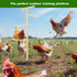 2 57" Pcs Extra Large Chicken Perch Toy for Coop Wooden Chick Perch Stand with Strong Roosting Bar Chicken Enrichment