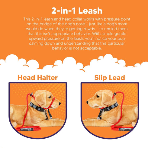 Heather's Heroes Sidekick Dog Headcollar with Leash, Effective Training Tool for Leash Reactivity, Red, Mini