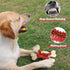 Beef Flavor Durable Nylon Bone Dog Toy for Medium and Large Breeds (RED)