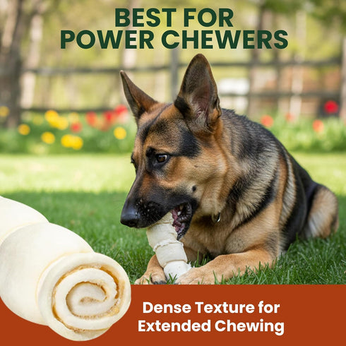 6 Pack 10 Inch Beef Cheek Rolls Extra Thick for Large Dogs Digestible Rawhide Alternative Chews, Long Lasting Dental