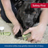 Trimmer 6.6" 2" Coastal Pet Safari Professional Dog Nail - Nail Clippers & Supplies for Grooming - Dog Claw Care