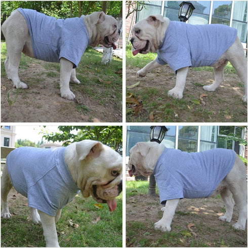 Lovelonglong 2019 Pet Clothing Dog Costumes Basic Blank T-Shirt for Medium Large Dogs, Gray XXXL