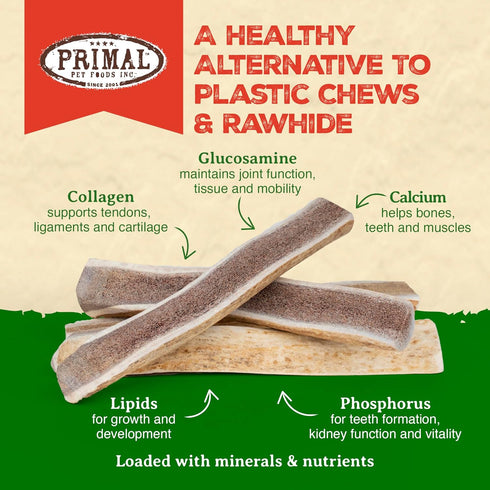 Primal Antlers for Dogs - Grade A Split Moose Antlers for Large Dogs 30-45 lb - Long Lasting Natural Chews - 1 ct