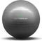 Stability Ball for Golf Training | Proven by Scottie Scheffler | 65cm Grey