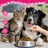 Cat & Dog Urinary Tract Support Drops with Cranberry Kidney & Bladder Health Natural Supplement for Pet Wellness