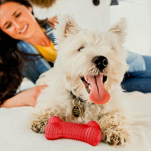 Playology Dog Toys, Dual Layer Bone Chew Toy for Dogs, Medium Beef Scented, Easy to Clean