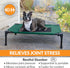 K&H Pet Products Cooling Elevated Dog Bed, Medium, Outdoor Raised Cot with Washable Mesh, Green/Black