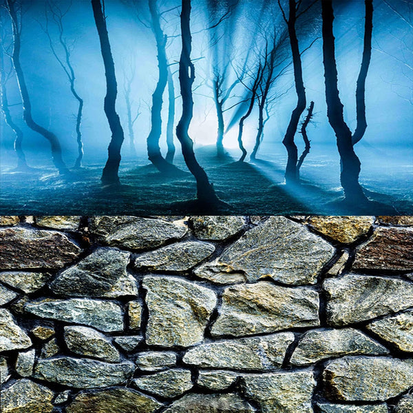 Fish Backgrounds Paper, Double Sides 3D Stone & Trees Aquarium Background Picture, 16" x 40"